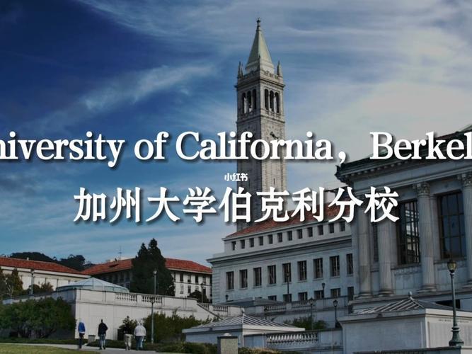 加州大学伯克利分校申请条件(加州大学伯克利分校申请要求有哪些？)
